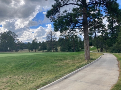 Land For Sale Log Hill, Ridgway, Colorado - image 17