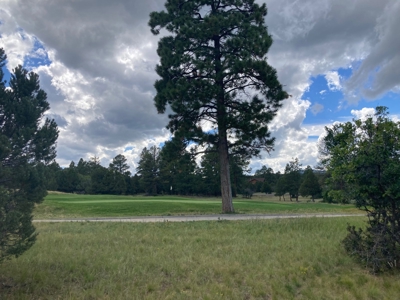 Land For Sale Log Hill, Ridgway, Colorado - image 15