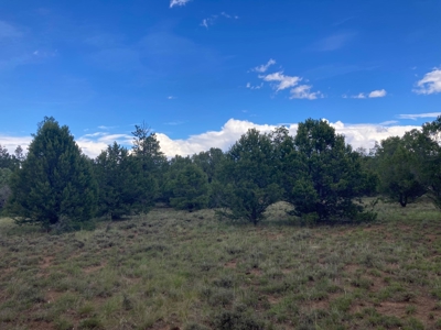 Land For Sale Log Hill, Ridgway, Colorado - image 9