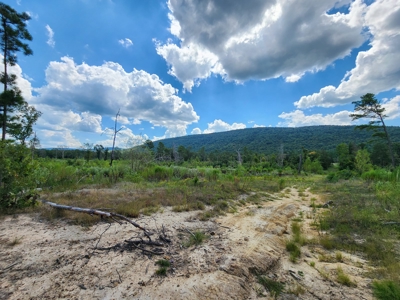 Kiamichi Mountain Recreational Property - image 3