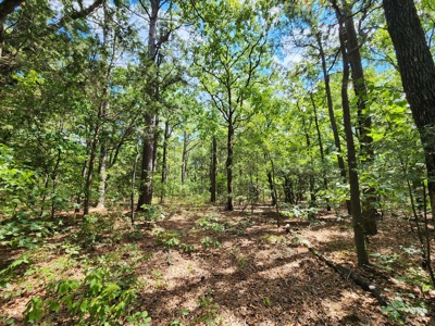 Kiamichi Mountain Recreational Property - image 8