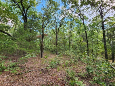 Kiamichi Mountain Recreational Property - image 6