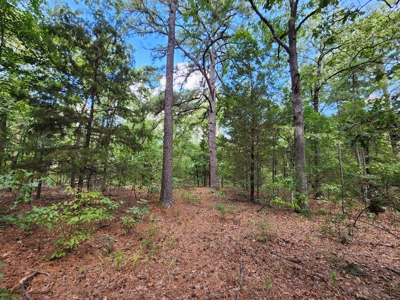 Kiamichi Mountain Recreational Property - image 1