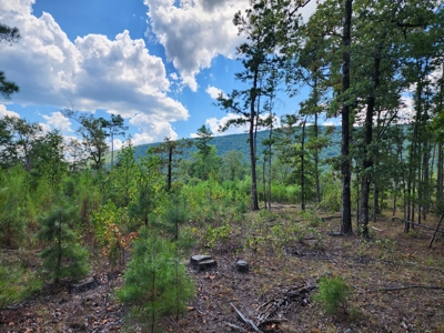 Kiamichi Mountain Recreational Property - image 2