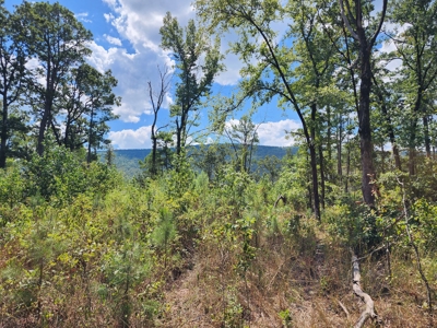 Kiamichi Mountain Recreational Property - image 9