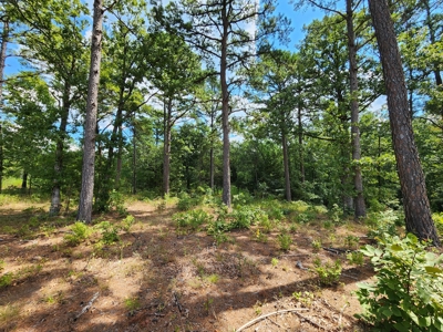 Kiamichi Mountain Recreational Property - image 10
