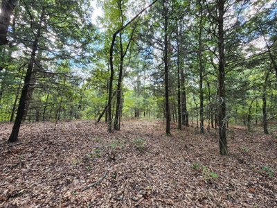 Kiamichi Mountain Recreational Property - image 5
