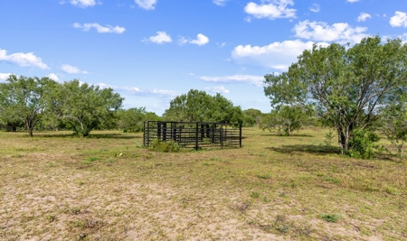 Beautiful 2015 Custom-Built Ranch on 10.72 Acres in Live Oak - image 20