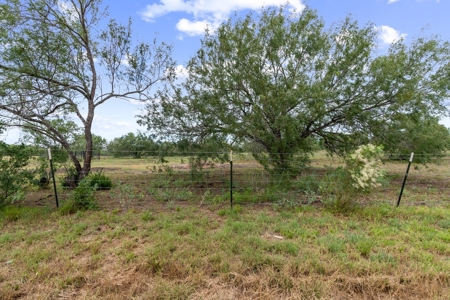 Beautiful 2015 Custom-Built Ranch on 10.72 Acres in Live Oak - image 18