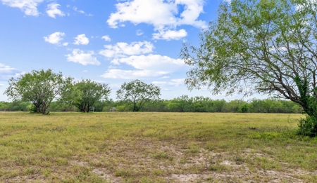 Beautiful 2015 Custom-Built Ranch on 10.72 Acres in Live Oak - image 17