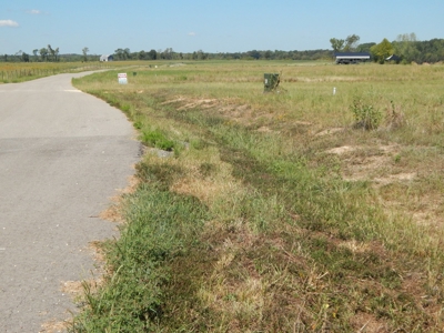 Waterfront Lot for Sale in River Run Subdivision - Savannah! - image 6