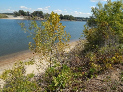 Waterfront Lot for Sale in River Run Subdivision - Savannah! - image 10