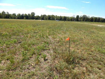 Waterfront Lot for Sale in River Run Subdivision - Savannah! - image 8