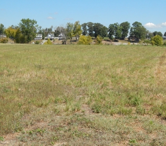 Waterfront Lot for Sale in River Run Subdivision - Savannah! - image 15
