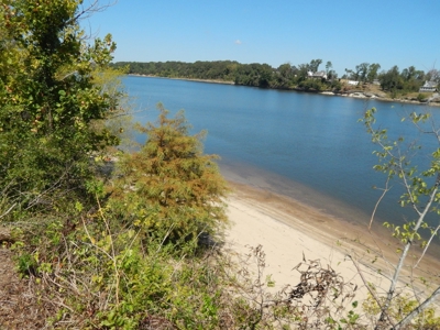 Waterfront Lot for Sale in River Run Subdivision - Savannah! - image 9