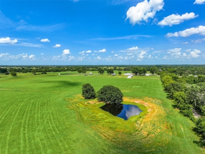 East Texas Land For Sale in Alba Texas - image 12
