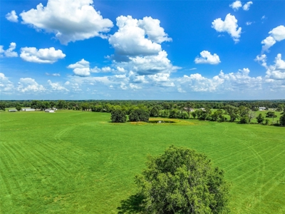 East Texas Land For Sale in Alba Texas - image 1