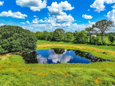East Texas Land For Sale in Alba Texas - image 10