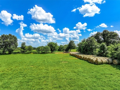 East Texas Land For Sale in Alba Texas - image 21