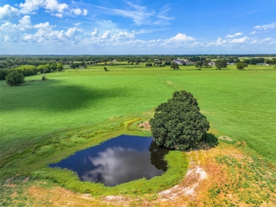 East Texas Land For Sale in Alba Texas - image 23