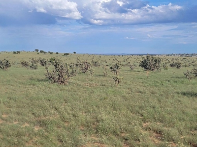 7.26-Acre Commercial Lot with Paved Frontage in Edgewood - image 3