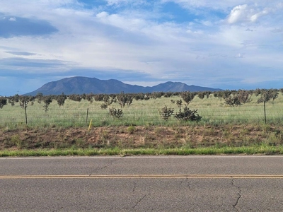 7.26-Acre Commercial Lot with Paved Frontage in Edgewood - image 1