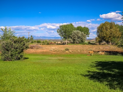 Country Home on Land For Sale in Cortez, CO! - image 31