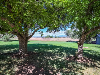 Country Home on Land For Sale in Cortez, CO! - image 30