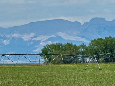 151+/- Irrigated Acres in prime Montana Big Sky Country! - image 1