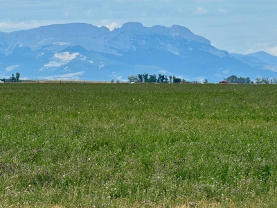 151+/- Irrigated Acres in prime Montana Big Sky Country! - image 7
