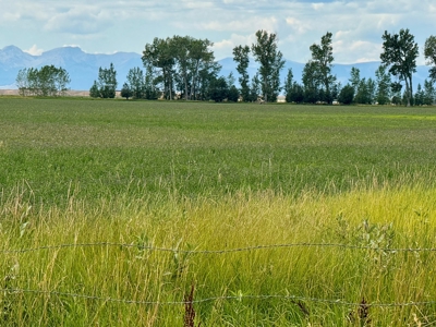 151+/- Irrigated Acres in prime Montana Big Sky Country! - image 23