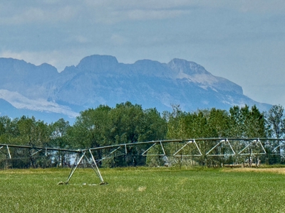 151+/- Irrigated Acres in prime Montana Big Sky Country! - image 2
