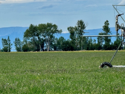 151+/- Irrigated Acres in prime Montana Big Sky Country! - image 5