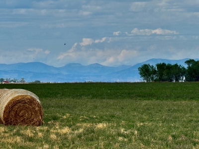 151+/- Irrigated Acres in prime Montana Big Sky Country! - image 10