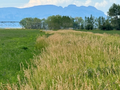 151+/- Irrigated Acres in prime Montana Big Sky Country! - image 17
