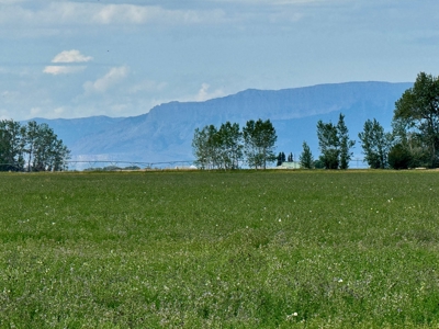 151+/- Irrigated Acres in prime Montana Big Sky Country! - image 6
