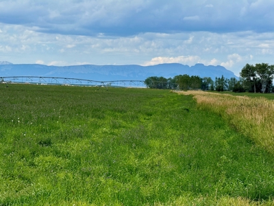 151+/- Irrigated Acres in prime Montana Big Sky Country! - image 14