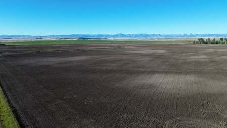 151+/- Irrigated Acres in prime Montana Big Sky Country! - image 24