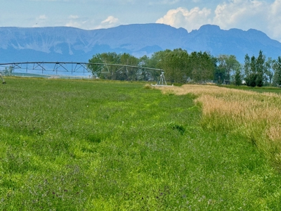 151+/- Irrigated Acres in prime Montana Big Sky Country! - image 19