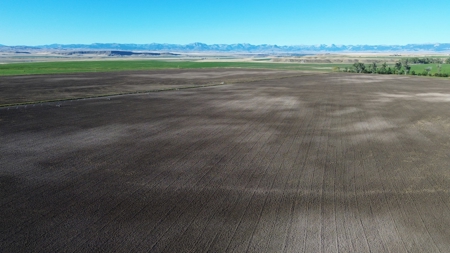151+/- Irrigated Acres in prime Montana Big Sky Country! - image 25