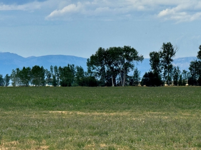 151+/- Irrigated Acres in prime Montana Big Sky Country! - image 13