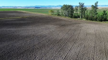 151+/- Irrigated Acres in prime Montana Big Sky Country! - image 38
