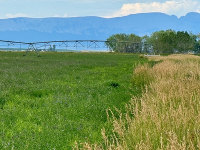 151+/- Irrigated Acres in prime Montana Big Sky Country! - image 18
