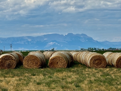 151+/- Irrigated Acres in prime Montana Big Sky Country! - image 9