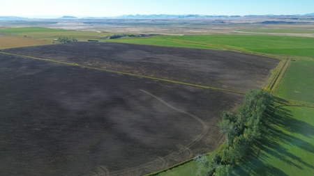 151+/- Irrigated Acres in prime Montana Big Sky Country! - image 31