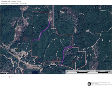 396 Acres South MS Timberland for Sale Amite County, MS - image 29
