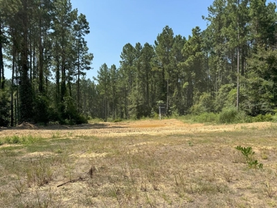 396 Acres South MS Timberland for Sale Amite County, MS - image 1