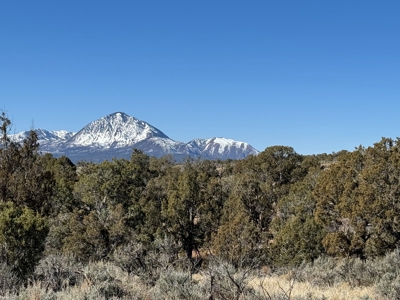Residential Building Lot; Land in Cortez, CO FOR SALE - image 6