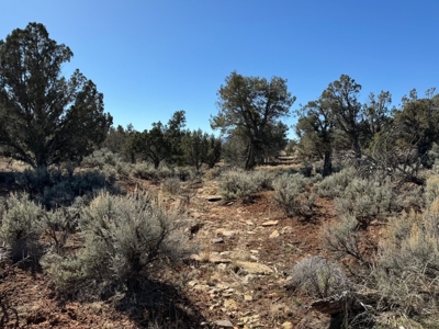 Residential Building Lot; Land in Cortez, CO FOR SALE - image 4