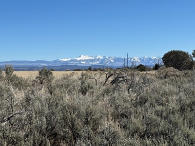 Residential Building Lot; Land in Cortez, CO FOR SALE - image 7